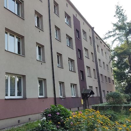 Apartament Curie 자브제 외부 사진